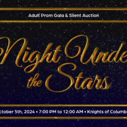 Night Under the Stars Adult Prom